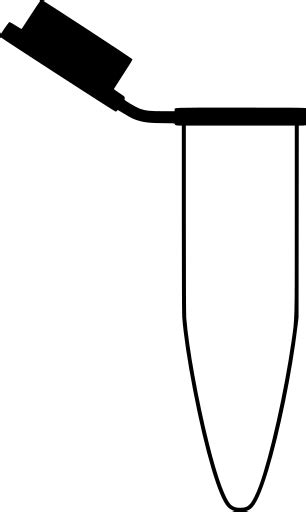 SVG > спираль 3d трубка - Свободное изображение и значок SVG. | SVG Silh