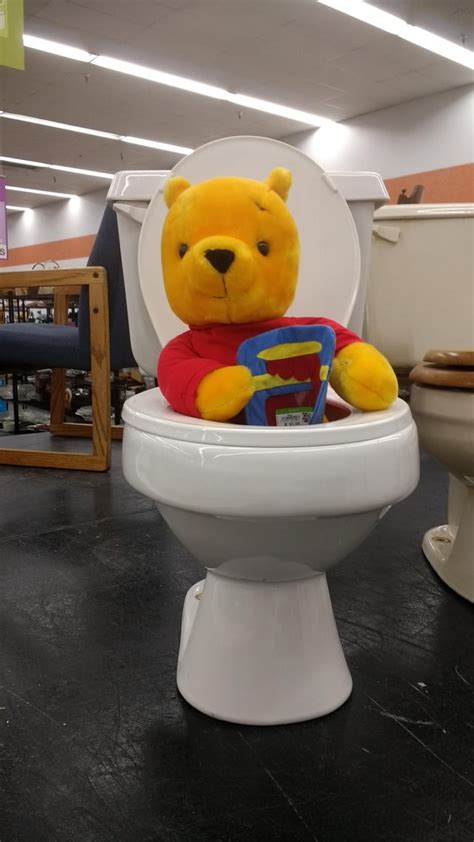 Someone Left Pooh In The Toilet At Goodwill Today Rmildlyinteresting