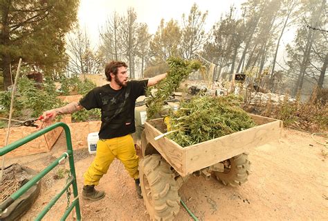 California Loma Fire Rages Through Drought Parched Santa Cruz