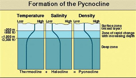 Ocean Structure, geochemical cycle Flashcards | Quizlet