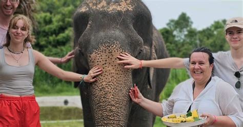 Koh Samui: Elephant Sanctuary and Jungle Tour with Lunch | GetYourGuide