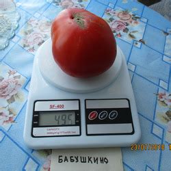 Томат Бабушкино: ОТЗЫВЫ (35), фото, описание и характеристика ...