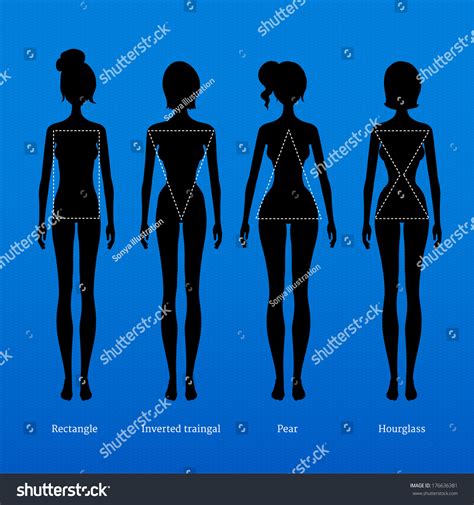 Female Body Types Stock Vector Royalty Free 176636381 Shutterstock