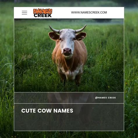 700 Cow Names: A Comprehensive List