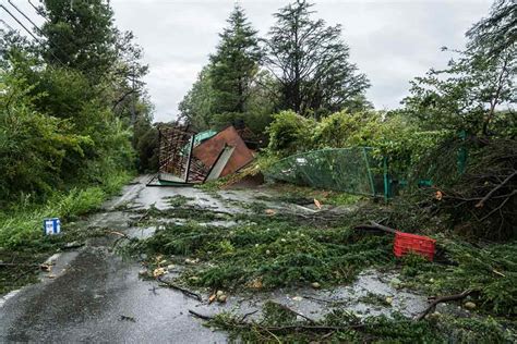 How To Prepare For A Windstorm