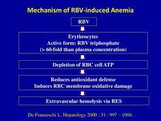 7 Interferon side effects ideas | side effects, medical conferences ...