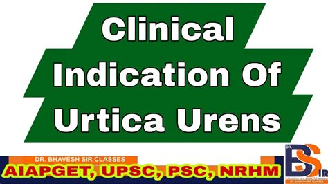 Clinical Indication Of Urtica Urens Homeopathic Medicine Materia