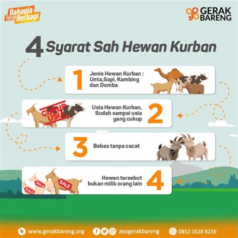 Syarat Qurban Kambing Sinau