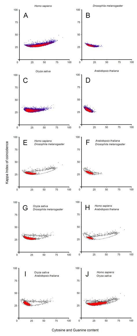 Promoter Distributions For Each Species A Homo Sapiens B