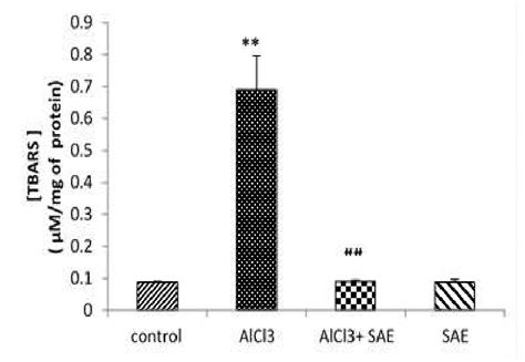 Effect Of Alcl On Tbars In Rat S Brains Before And After Treatment By