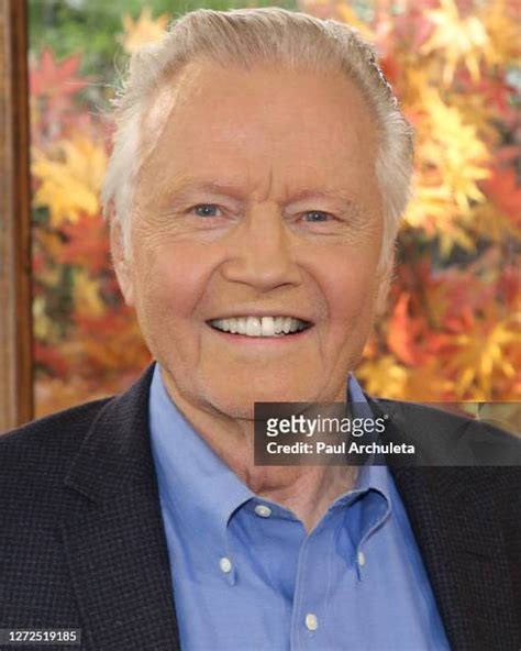 271 Jon Voight Family Stock Photos, High-Res Pictures, and Images ...