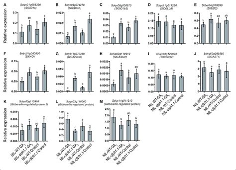 Relative Expression Of The Genes Related To GA Biosynthesis And