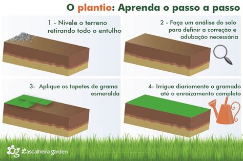 Dicas Para Garantir A Qualidade Da Sua Grama Cascalheira Garden