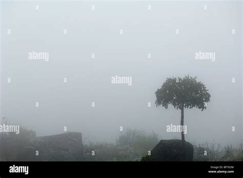 Nyanga Mountains High Resolution Stock Photography and Images - Alamy