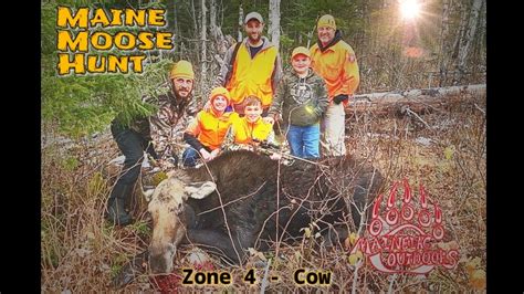 Maine Moose Hunt Zone 4 Youth Hunter S First Moose YouTube