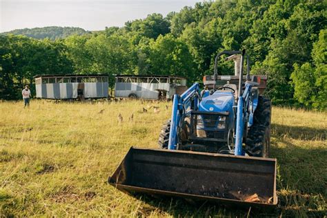 Chicken Power Strategies For Putting Your Flock To Work