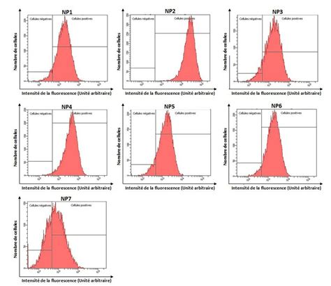 Histogrammes Des Mesures De Fluorescence Des Cellules Trait Es Par Les