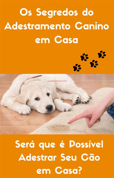 O Segredo Do Adestramento Canino Em Casa Katiana Soares Ferreira