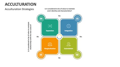 Acculturation PowerPoint and Google Slides Template - PPT Slides