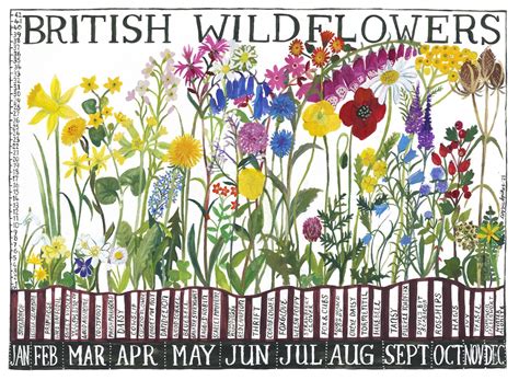 List Of British Wildflowers At Joel Morton Blog
