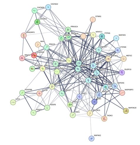 PathCards :: MAPK signaling pathway Pathway and related pathways