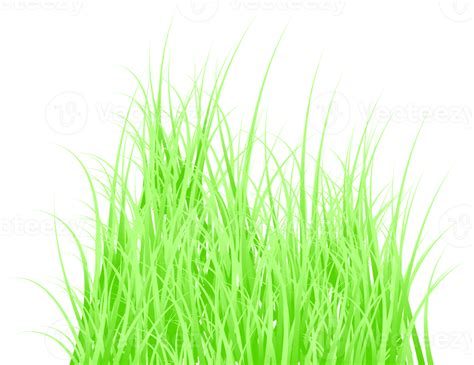 Green Grass Png 19777139 Png