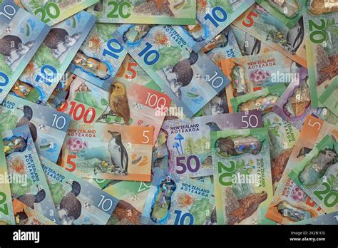 New Zealand Dollar Banknotes Stock Photo - Alamy