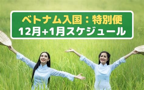 ベトナム入国：特別便 12月＋2021年1月：在ベトナム大使館 ばんこくたいむず