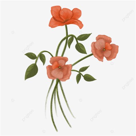 Beautiful Orange Flower With Leaves Flower Floral Beautiful Png