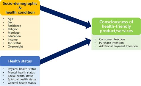 The Conceptual Model For How Demographic And Health Behaviours And