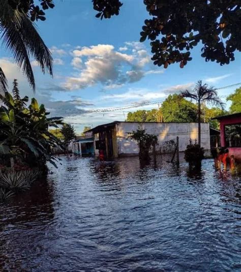 Apure Casas Se Inundan Por Crecida Del R O Uribante En Guacas De Rivera