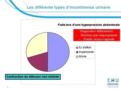 Diagnostic Et Traitement De Lincontinence Urinaire Pr Pierre