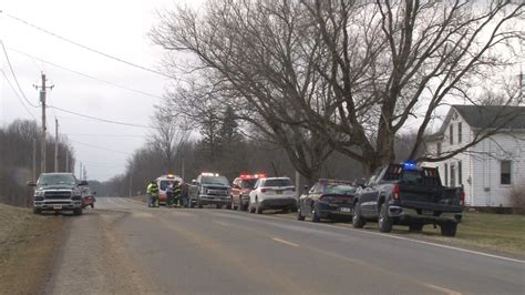 Woman Dies After Tree Falls On Her In Genesee County