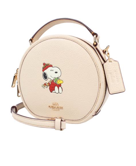 Coach X Peanuts Logo Crossbody Bag In Nude ModeSens