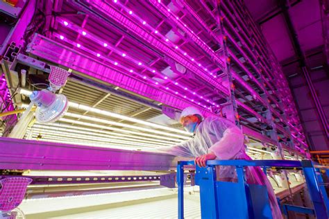 Pioneering innovations in vertical farming – Fischer Farms