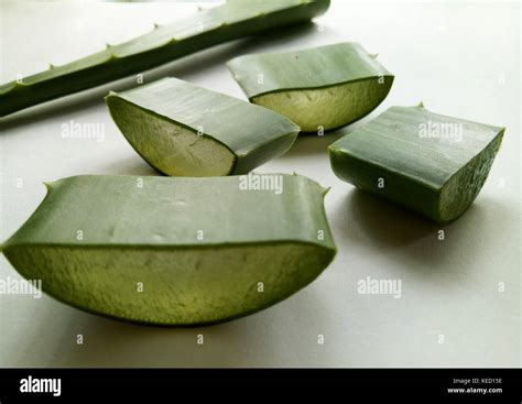 Aloe Vera Slice Stock Photo Alamy