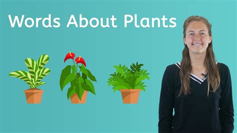 14 Words About Plants Youtube