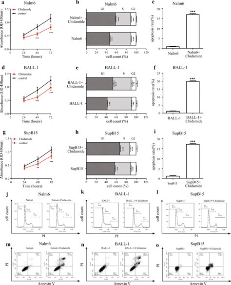 Effects Of Chidamide On The Proliferation Apoptosis And The Cell Cycle