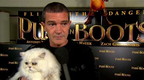 Antonio Banderas at the Puss in Boots cat premiere | Cultjer