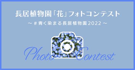 （2022年度）長居植物園「花」フォトコンテスト～青く染まる長居植物園2022～ イベント情報 大阪市立長居植物園