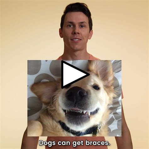 Fun Fact of the Day - Dogs Can Get Braces. Not for Aesthetics, but for ...