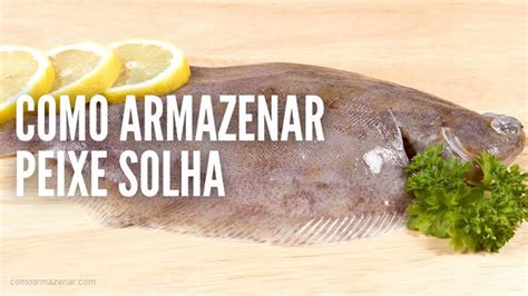 Como Armazenar O Peixe Solha Como Armazenar