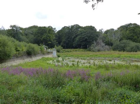 Balades Faire En For T De Rambouillet Office De Tourisme De