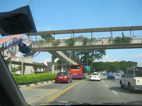 my walk with food and beautiful plants and flowers: Overhead bridge in ...