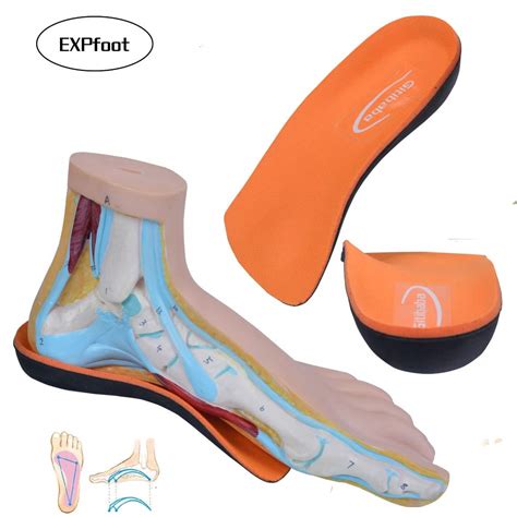 Buy Placehap New Branded New Arrival Premium Orthotics High Arch