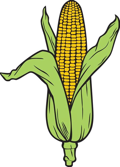 Corn - Corncob with Green Leaves Color. Vector Illustration. 12674475 ...