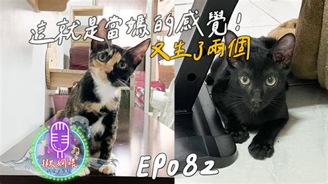 【揪狗喂podcast】ep082｜這就是當媽的感覺！又生了兩個 Youtube