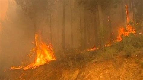 Chile Forest Blaze Kills Six Firefighters In Araucania Bbc News