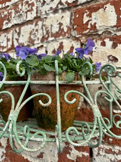 Antique Style Metal Wall Planters - Little Garden Shop | Claudia de ...