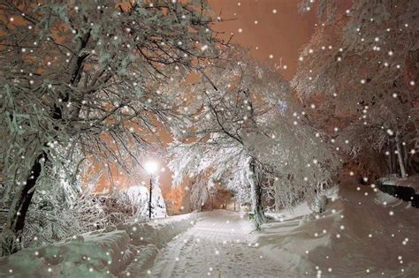 SNOWY WONDERLAND ~~~~ | Winter pictures, Winter scenery, Winter photos